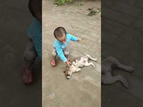cute baby playing with dogy 😘😀🥰