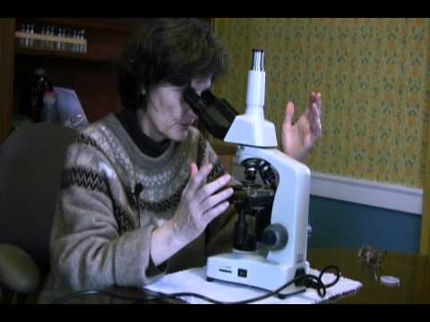 MICROSCOPE SET-UP (part 2) - INTRODUCTION TO SOIL MICROBIOLOGY by Dr. Elaine Ingham - YouTube