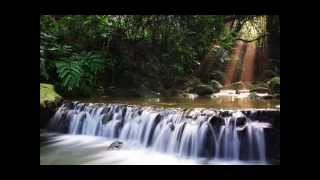 Meine Lieblingsrapper - Deutscher Roots Rap Pt.1