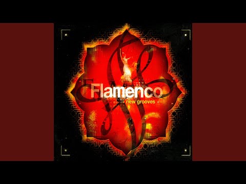 Redefined Flamenco