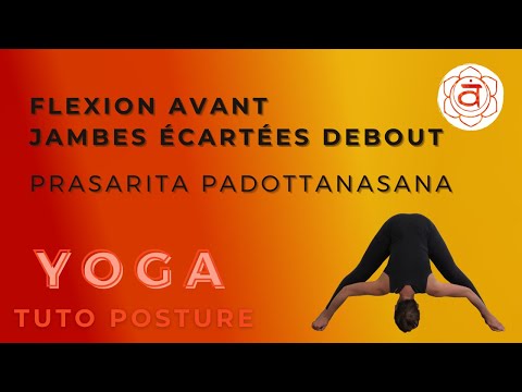 Flexion avant jambes écartées debout- Tuto posture PRASARITA PADOTTANASANA vers les écarts en Yoga
