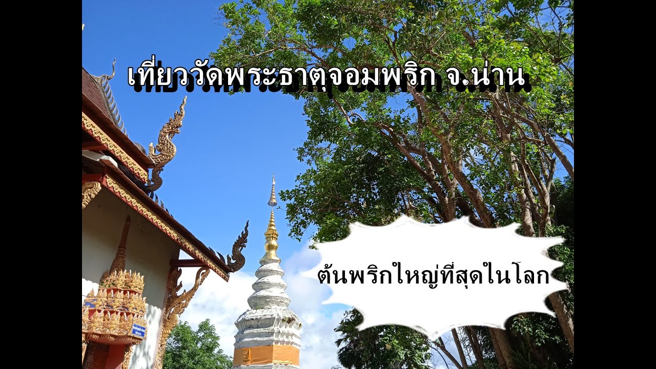 Wat Phra That Chom Prik