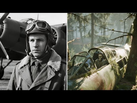 Polski myśliwiec ZNIKA w 1945 r. Po 68 latach wrak samolotu odnaleziony w Beskidach…