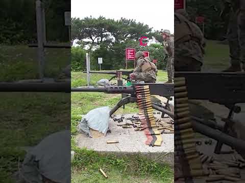 50 Cal Machine Gun VS 20mm Autocannon? #shorts