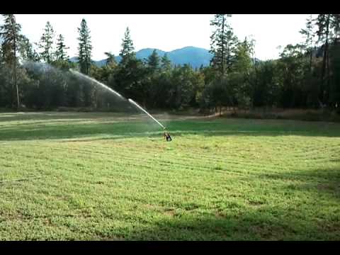 Импульсный дождеватель, радиус 15 - 24,5 м, подключение 1 1/4", расход 2,9 - 10,7 м³/час, фрегат - Sime K1 - фото 1 - id-p1545944840