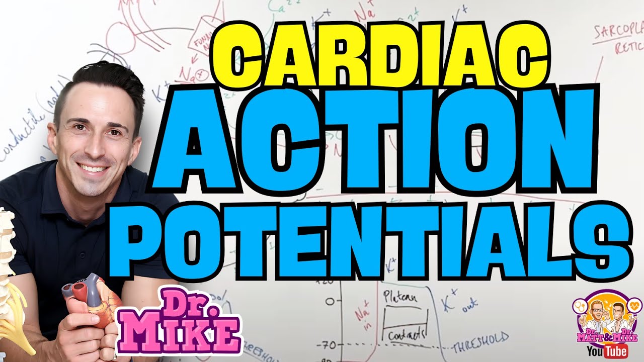 Cardiac Action Potentials