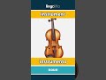 instrument - instrumento video thumbnail