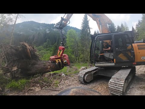 Windwurf - Starkholz _ Case CX 210D & Woody WH70 / MS 500i