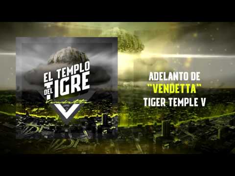 TIGER TEMPLE V | ADELANTO DE "VENDETTA" | 2016