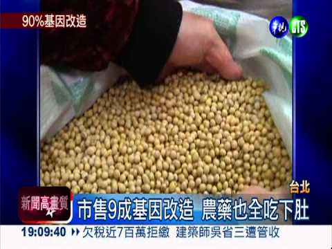 9成黃豆基因改造 常吃恐器官病變