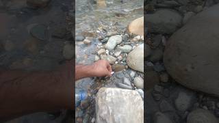 Download lagu मछली को कैसे किया नदी मैं आजाद  !! How To Fish Free In The River !! #shorts #fishing mp3