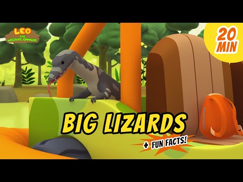 Big Lizards - Malayan Water Monitor and more animal stories!