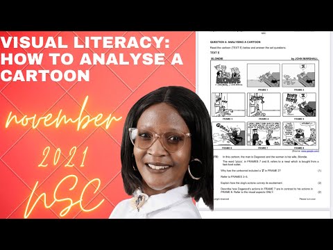 visual literacy Cartoon NSC November 2021. (English Fal Paper1)