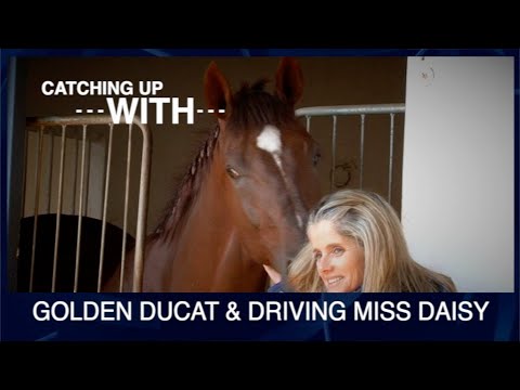CATCHING UP WITH GOLDEN DUCAT AND DRIVING MISS DAISY