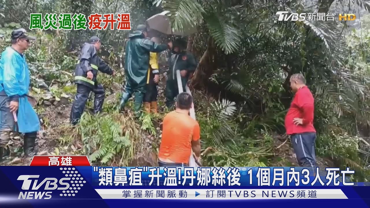 「類鼻疽」升溫!丹娜絲颱風後 1個月內3人死亡