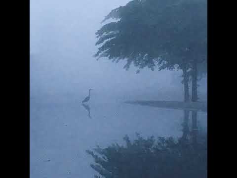 SEVENTH WORLD - WE HELD HANDS OVER SEAS