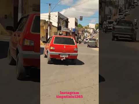 gordinha dos peixes de palmeira dos índios Alagoas