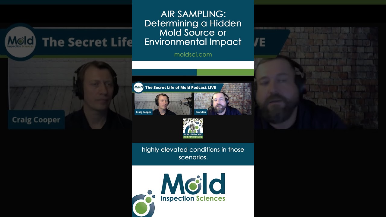 Air Sampling: Determining a Hidden Mold Source or Environmental Impact
