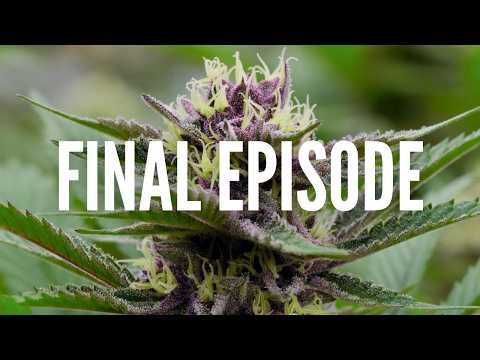 (FINAL EPISODE) From Seed to Celebration | Home Grow TV