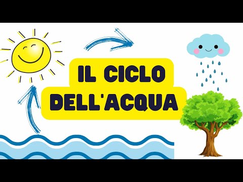 🌊💧 Il ciclo dell'acqua scuola primaria - videolezione per bambini