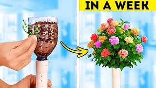 🧑‍🌾🌱 Gardening Hacks 101! Amazing Planting Techniques and Plastic Bottle Craft Ideas for Plants