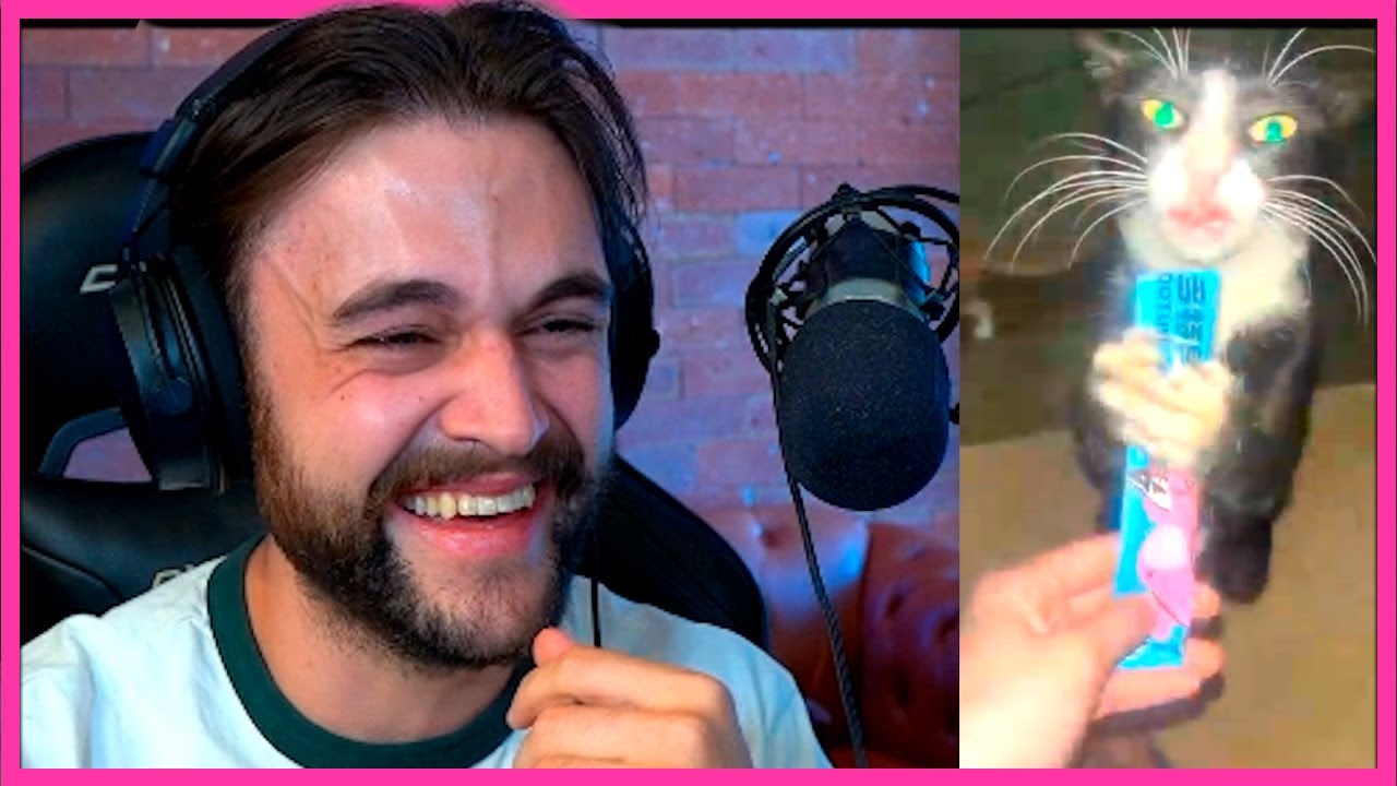 Sem risadinha com os MEMES do DENES