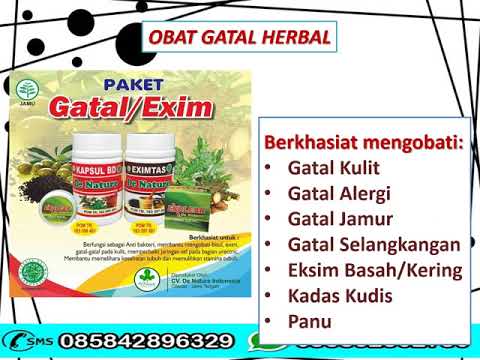 Metode untuk meningkatkan potensi Suplemen makanan aman untuk meningkatkan potensi