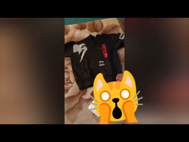 Vídeo relacionado con Megadeth Logo Hombre Sudadera con Capucha Negro/Azul XXL 80% algodón, 20% poliéster Regular