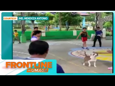 For Today’s Video: Basketball doggo I Frontline Sa Umaga