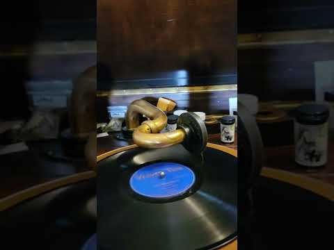 Blue Danube waltz - John Hassel (pipe organ) Velvet tone records #1602 1927