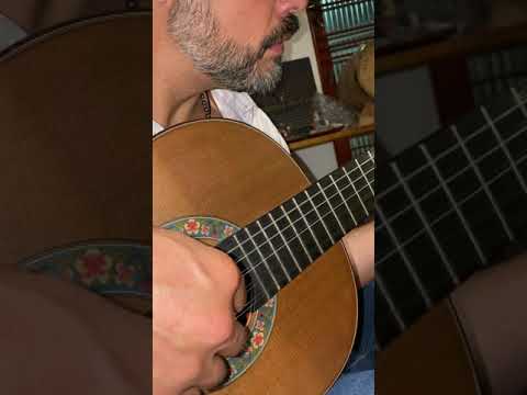 Almir Pessoa testando viola Doble Top