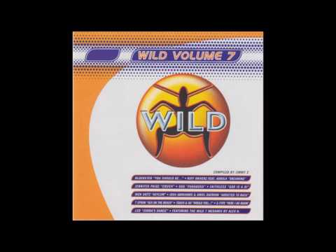 Wild Vol. 7 - Megamix by Alex K