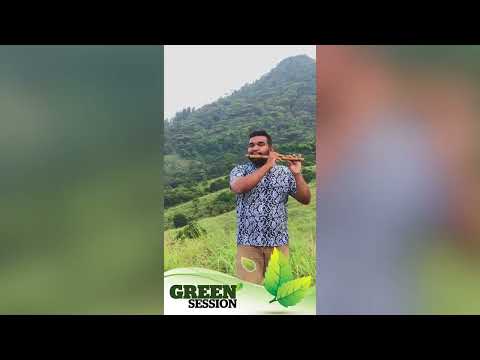 සදමිතුරි 🍃 | Sanda Mithuri | Green Session | Asitha Senavirathne | Flute Cover