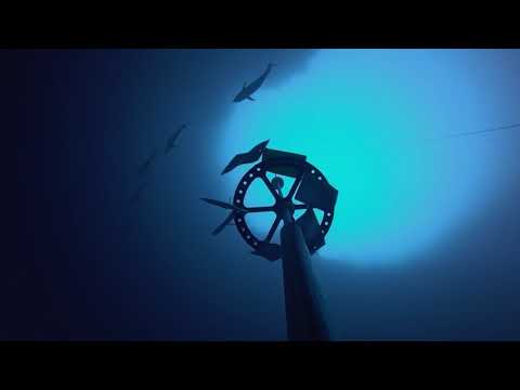 Stefan Randig 75m Freedive CNF Training Dive