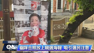 印尼候選人角逐國會議員 推流浪貓絕育與街貓公園