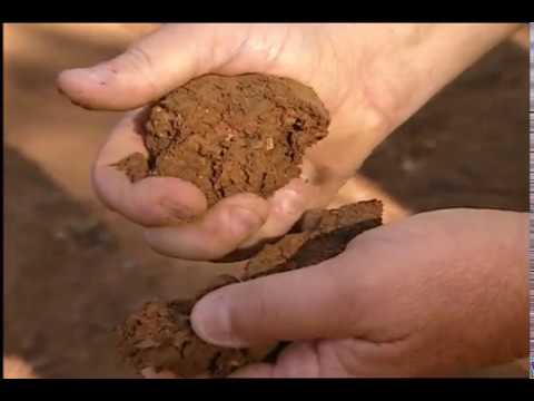 Excavating & Trenching