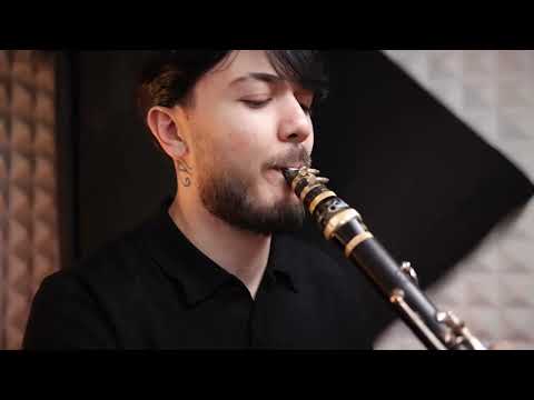 Denis Tošić - Nikada - ( cover )