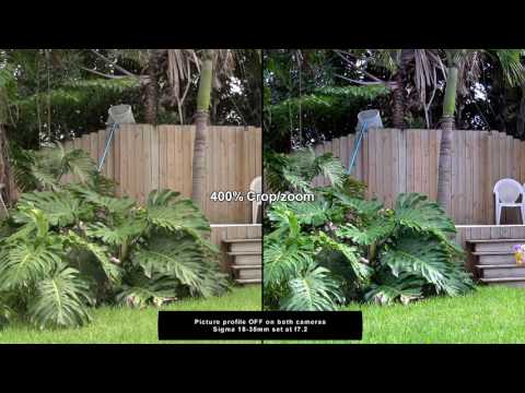 SONY FS5 vs. A6300 - "IMAGE SENSOR" Test.