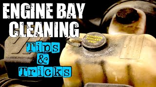 Engine Bay Cleaning Tips and Tricks!  #autodetailing #mobiledetailing