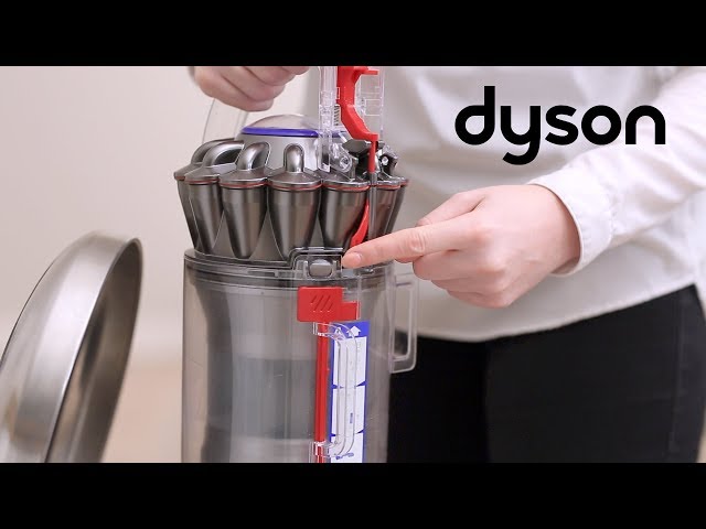 ãHow toã Empty Dyson Animal 2 Canister