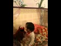 Lol Elmo Style