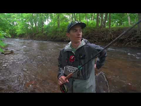 My Everyday Fly Fishing Gear - Simplistic Approach