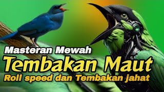 Download lagu TEMBAK MAUT‼️TEMBAKAN JAHAT KOMBINASI ROLL SPEED.#masteranburung mp3