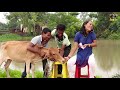 Must Watch New Funny Video 2020 Top New Must Watch New Funny Video 2020 Top New