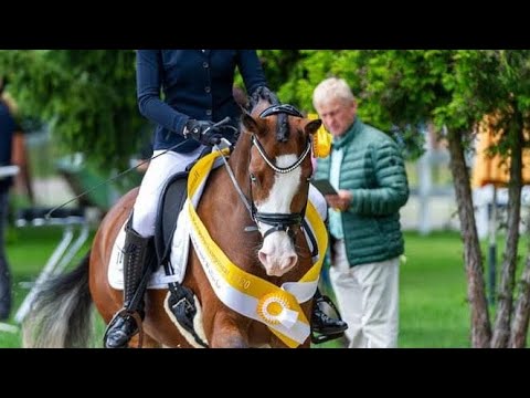 "Mein Herzblatt"v. Movie Star 2016 ***FOR SALE ***