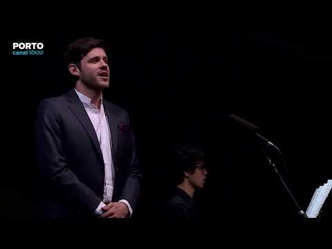 Paulo Lapa - "Vincent" by Don McLean