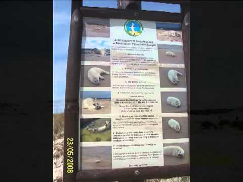 29 -mk- Danzig 14 -Ausflug in die polnische Sahara bei Leba-.mpg