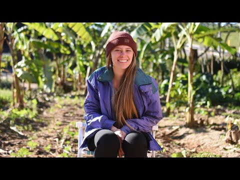 download lagu mp3 mp4 O Que é Solo Fértil, download lagu O Que é Solo Fértil gratis, unduh video klip O Que é Solo Fértil