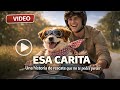 Esa carita — una historia inspirada en tantos rescates