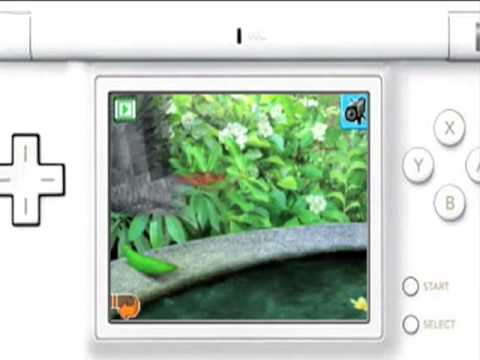 Discovery Kids : Spider Quest Nintendo DS
